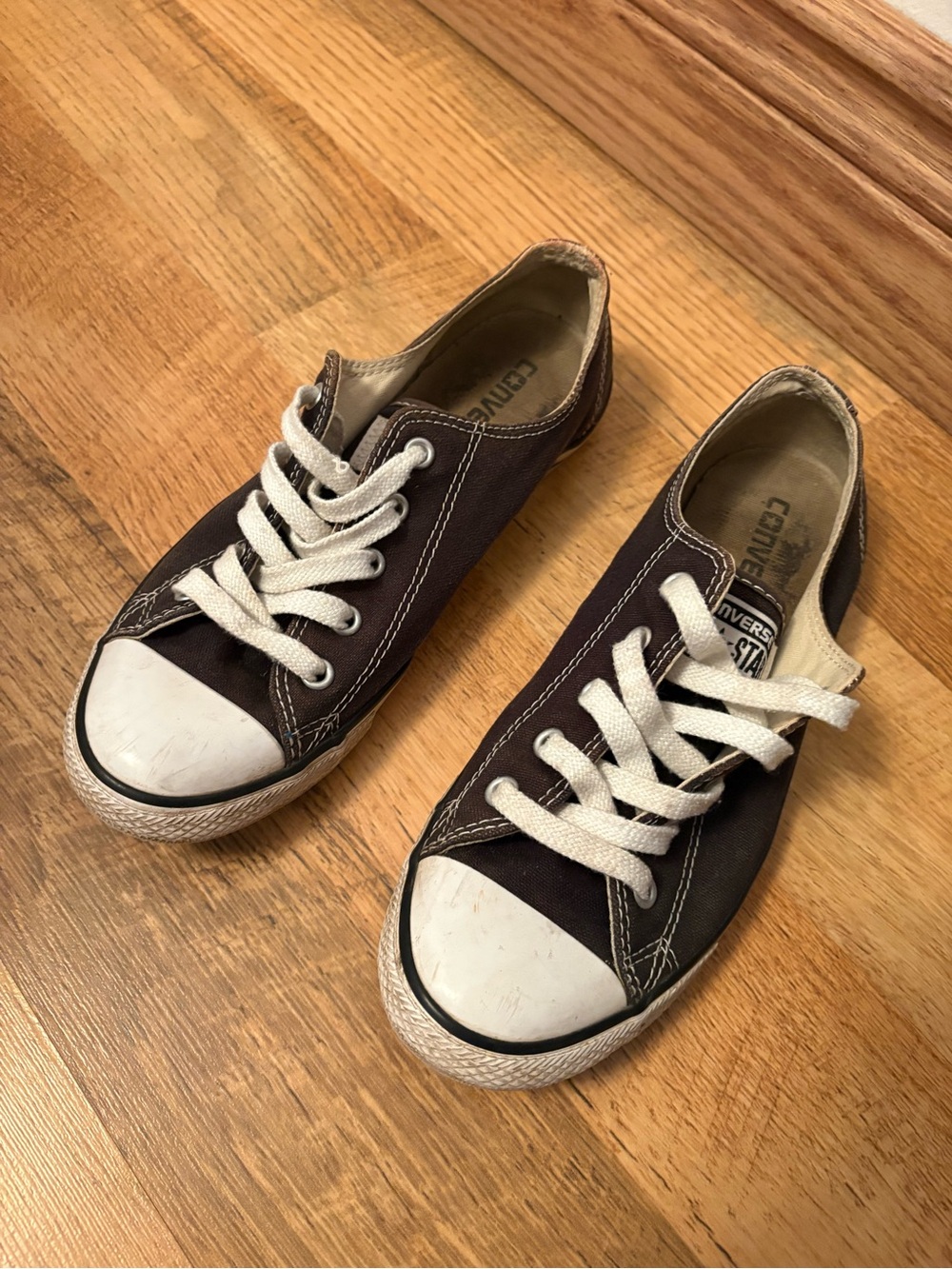 Converse Low Top Canvas Sneakers